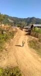 video/webm | 200