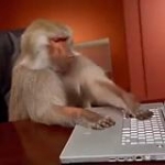 video/mp4 | 200