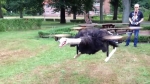 video/mp4 | 200
