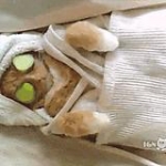 video/mp4 | 200