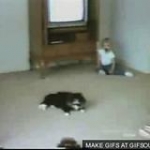 video/mp4 | 200