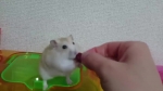 video/webm | 200