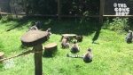 video/webm | 200