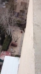 video/webm | 200