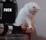 image/gif | 200