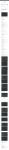 text/html; charset=utf-8 | 200