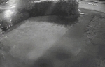 video/webm | 200