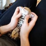 video/mp4 | 200