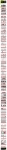 text/html; charset=windows-1250 | 200