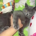 video/mp4 | 200