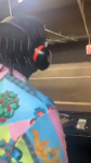 video/quicktime | 200