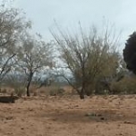 video/mp4 | 200