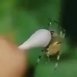video/mp4 | 200