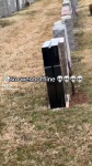 video/mp4 | 200