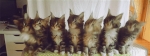 image/gif | 200