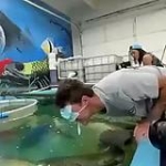 video/mp4 | 200