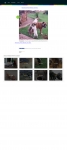 text/html | 200