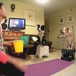 video/mp4 | 200
