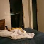 video/mp4 | 200