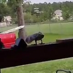 video/mp4 | 200