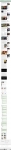 text/html; charset=utf-8 | 200