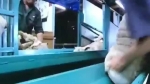 video/webm | 200