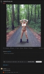 image/png | 200