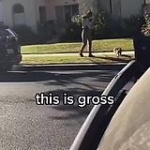 video/mp4 | 200
