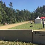 video/mp4 | 200