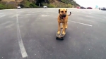 video/mp4 | 200
