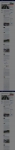 text/html; charset=UTF-8 | 200