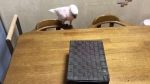 video/webm | 200