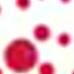 video/mp4 | 200