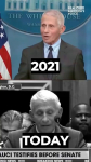 video/quicktime | 200