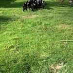 video/mp4 | 200