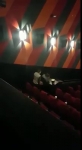 video/mp4 | 200