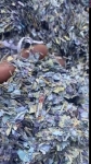 video/mp4 | 200