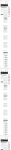 text/html; charset=UTF-8 | 200