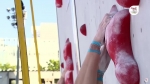 video/webm | 200