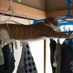 video/mp4 | 200