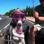 video/mp4 | 200