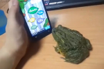 video/mp4 | 200