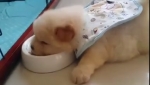 video/mp4 | 200