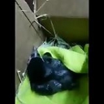 video/mp4 | 200
