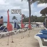 video/mp4 | 200