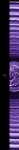 text/html; charset=utf-8 | 200