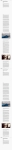 text/html; charset=UTF-8 | 200