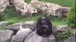 video/webm | 200