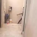 video/mp4 | 200