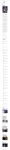 text/html; charset=UTF-8 | 404